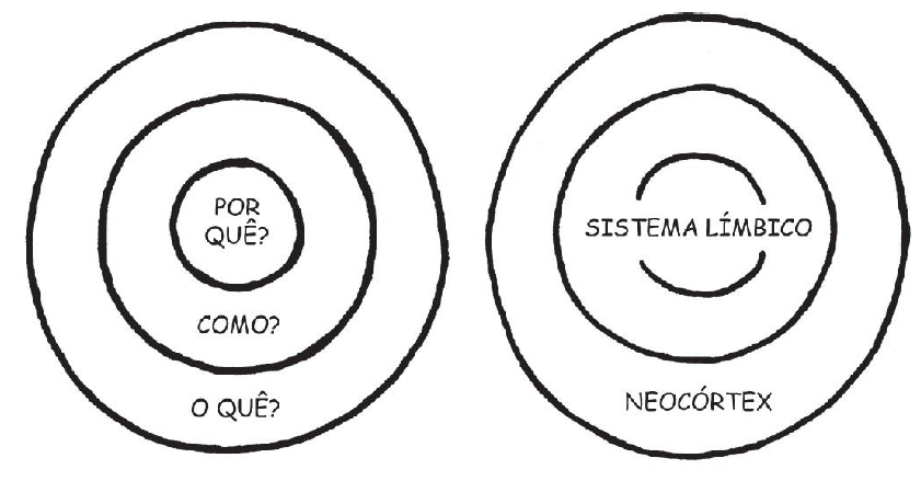 Dois círculos: um representando o golden circle (porque, como, o que) e outro representando o sistema límbico e neocortex.