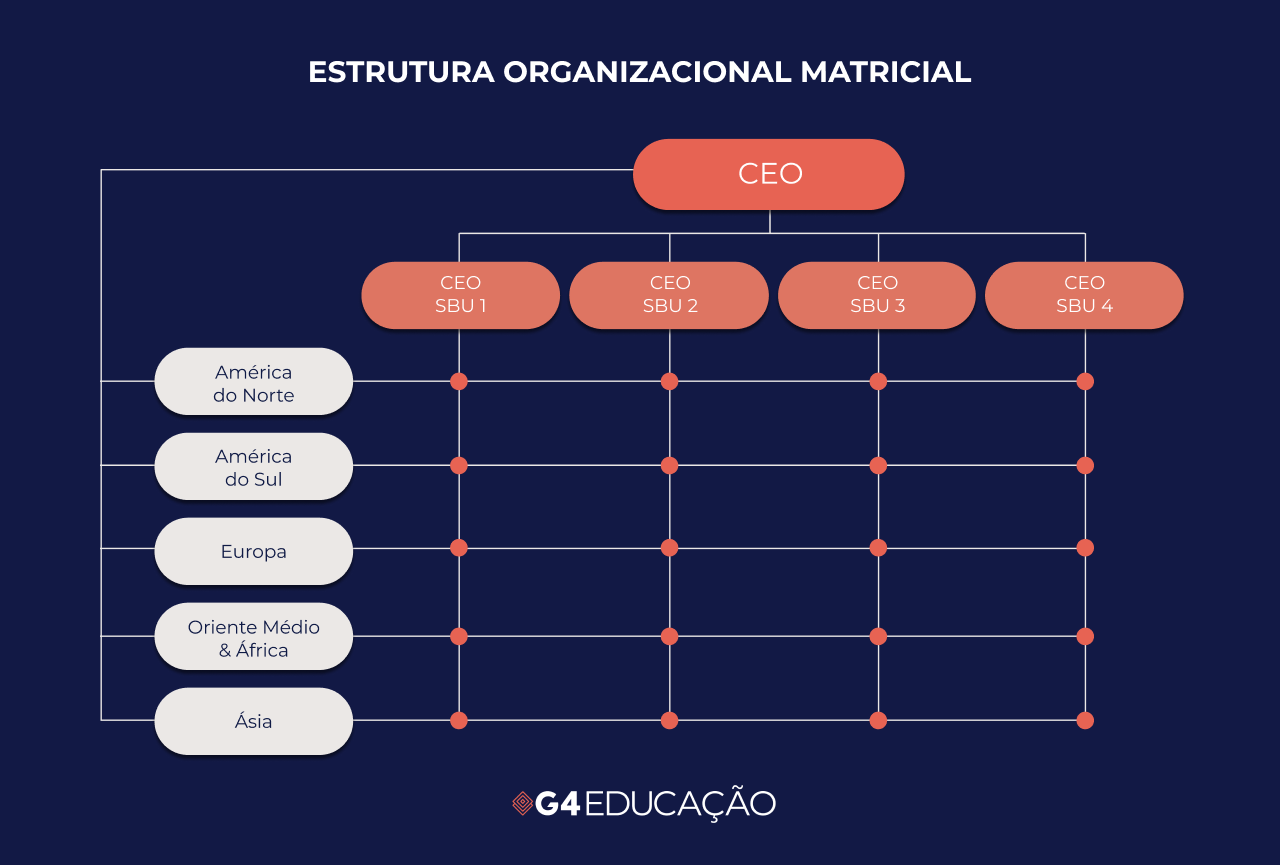 Representação visual da estrutura organizacional matricial